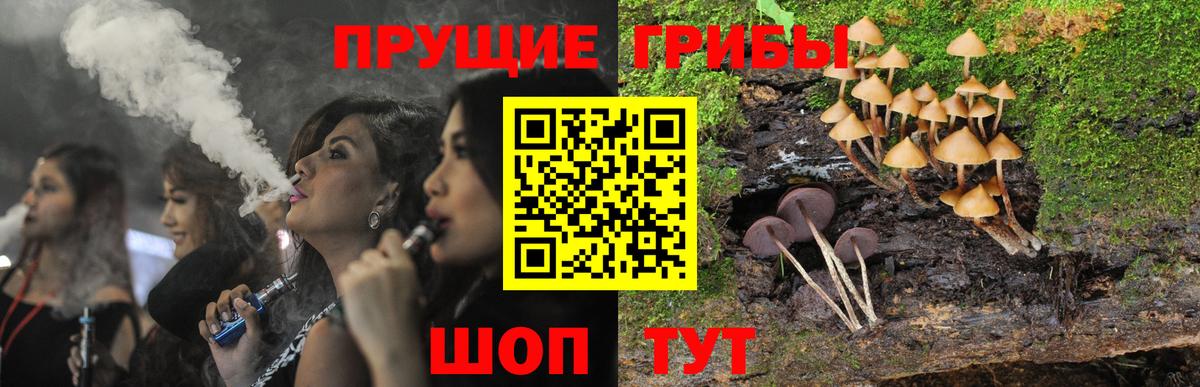 Псилоцибиновые грибы Cubensis Лесосибирск