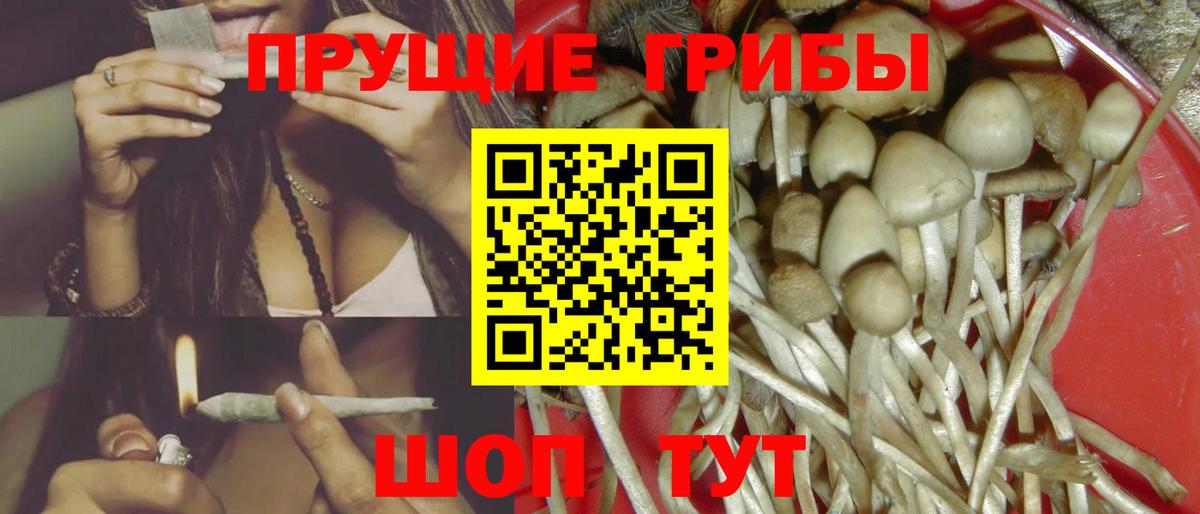 Лесосибирск  Галлюциногенные грибы GOLDEN TEACHER  Вход с VPN  как найти наркотики  Псилоцибиновые грибы прущие грибы 